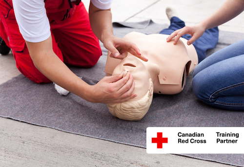Close up of a pair of hands demonstrating CPR on a first aid mannequin